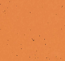 Линолеум Forbo Sphera Energetic 50227 safflower фото 1 | FLOORDEALER